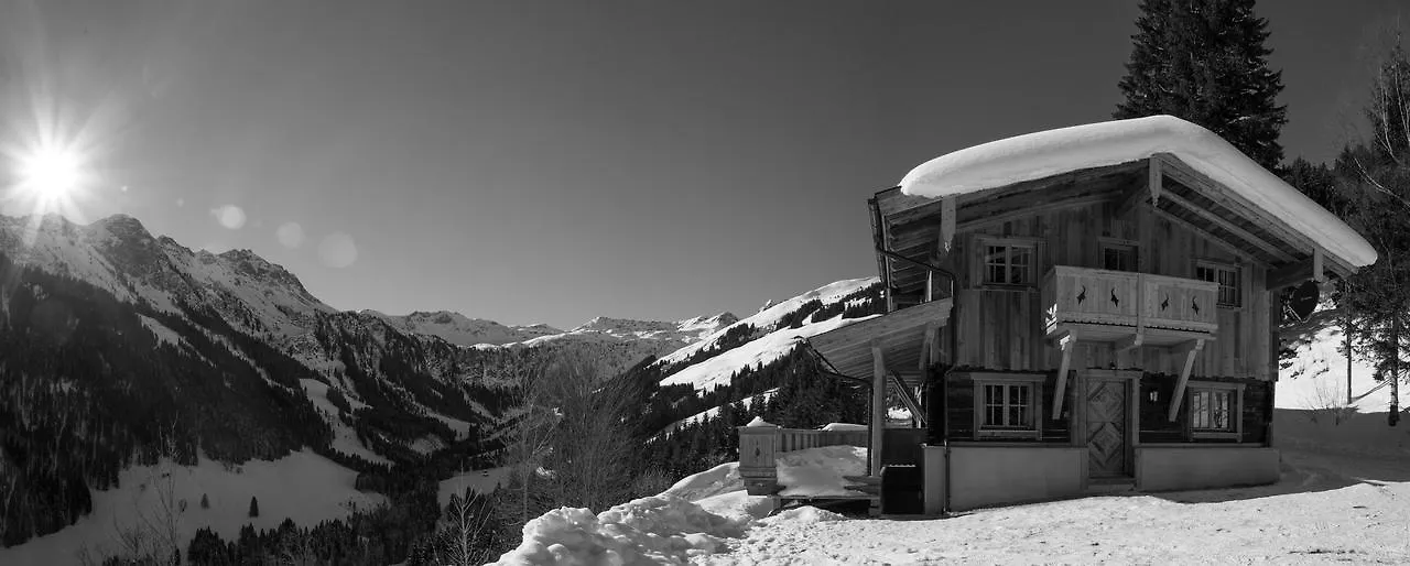 Chalet Almhuette Lengau Villa Saalbach-Hinterglemm Austria